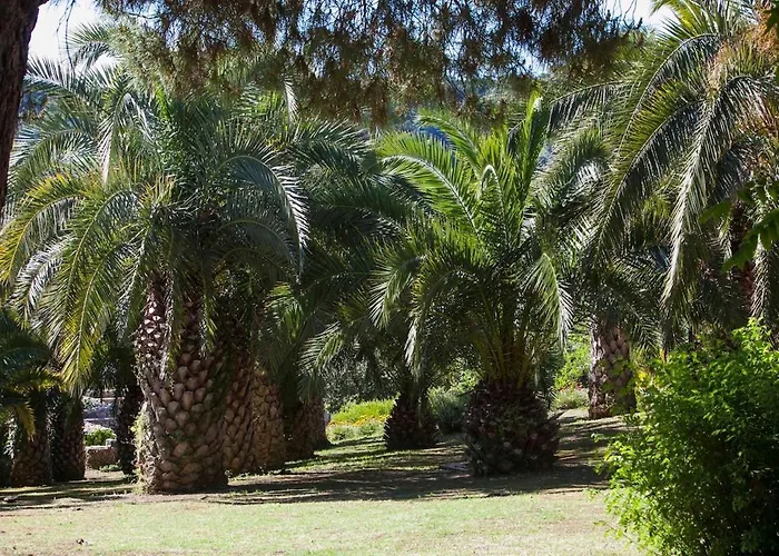 Ariete * Borgo (Marche)